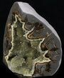 Crystal Filled Septarian Geode - Utah #33094-3